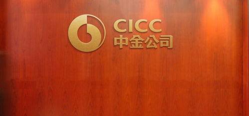 中金背景,中金背景下的金融创新与发展概览