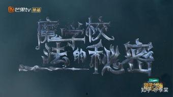 魔法学校明星大侦探,揭秘神秘事件的奇幻之旅