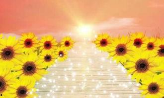 阳光路上创作背景,追寻梦想的温暖旅程