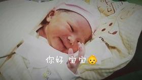 猪娃搞笑视频,萌态百出，笑料连连