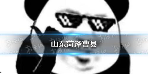 河泽娱乐圈视频